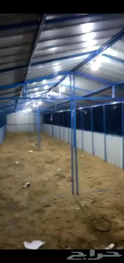 صنادق شبوك غرف شنكو 13