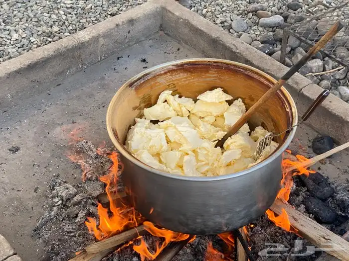 سمن دهنه بقر وغنم مضمون في بيشة 5
