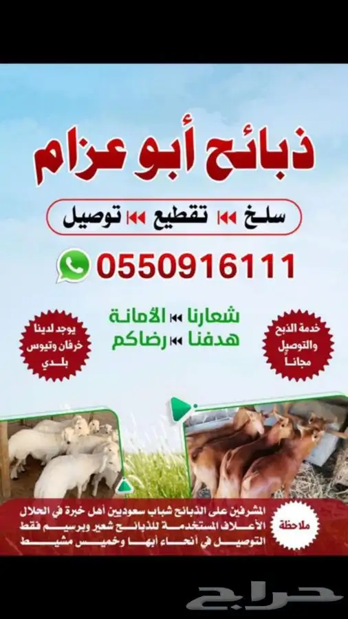 ذبايح ابو عزام خرفان وتيوس 6