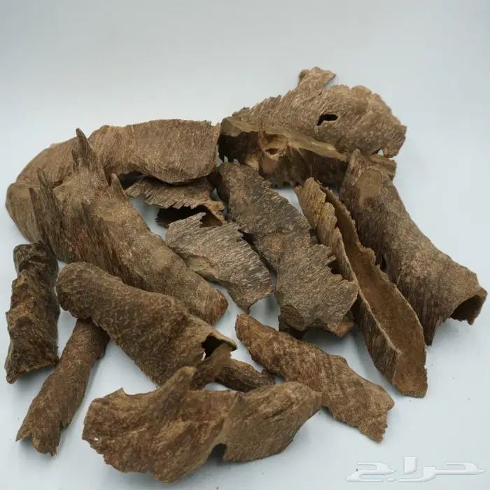 عود بوتان طبيعي 0