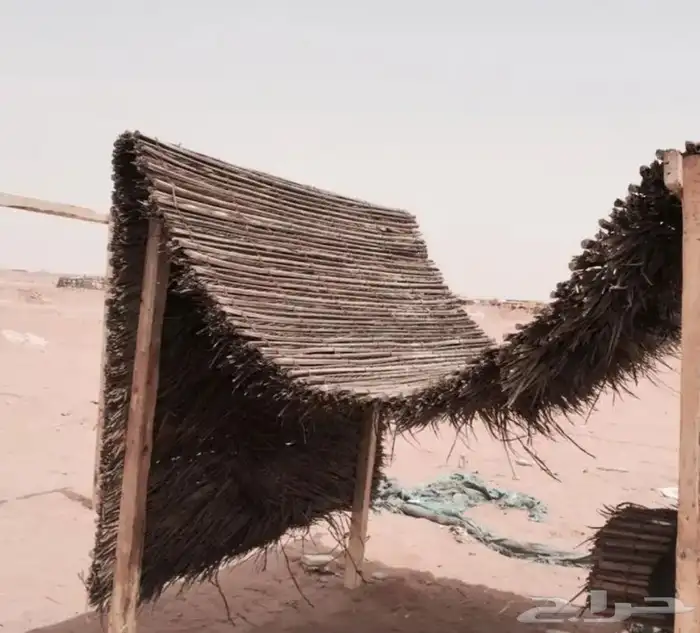 سعف النخيل رولات مربوطه للاحواش والمظلات 6