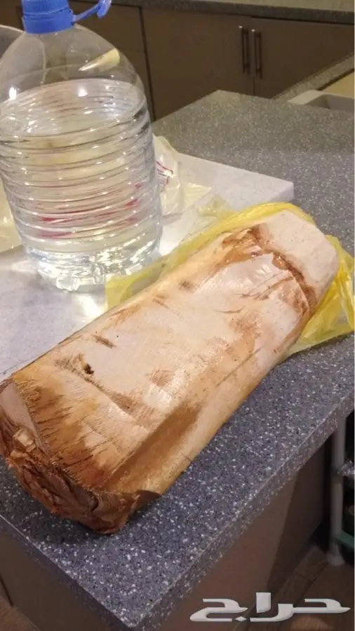 قلب نخل - جذب نخل - لب نخل - جمار نخل - شحم نخل للبيع 1