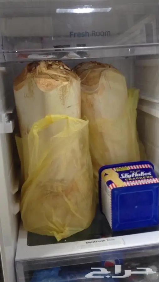 قلب نخل - جذب نخل - لب نخل - جمار نخل - شحم نخل للبيع 2