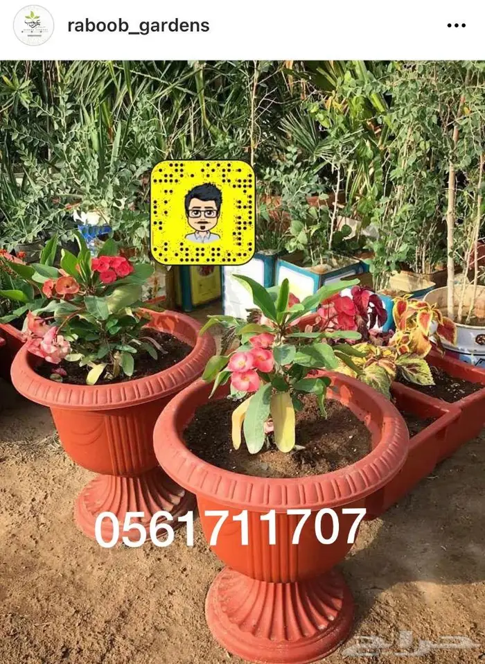 تصميم حدائق وأنظمة ضباب للكافيهات والجلسات 93