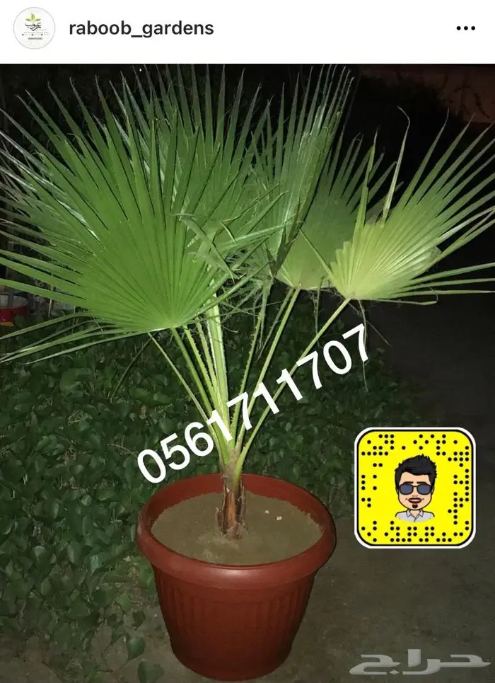 تصميم حدائق وأنظمة ضباب للكافيهات والجلسات 89