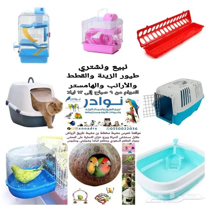 رمل وطعام قطط وجميع مستلزماتها نوادر 32