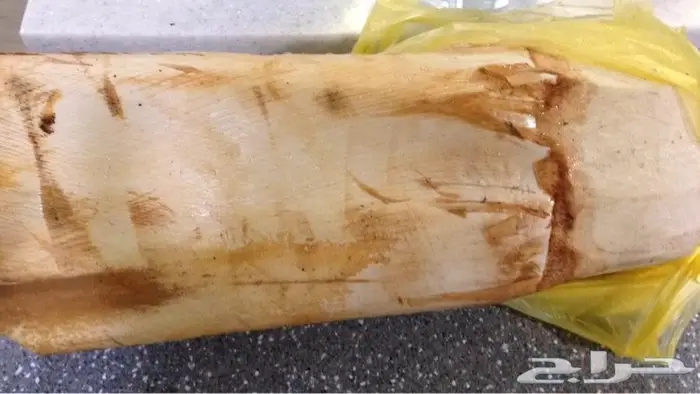 قلب نخل - جذب نخل - لب نخل - جمار نخل - شحم نخل للبيع 3