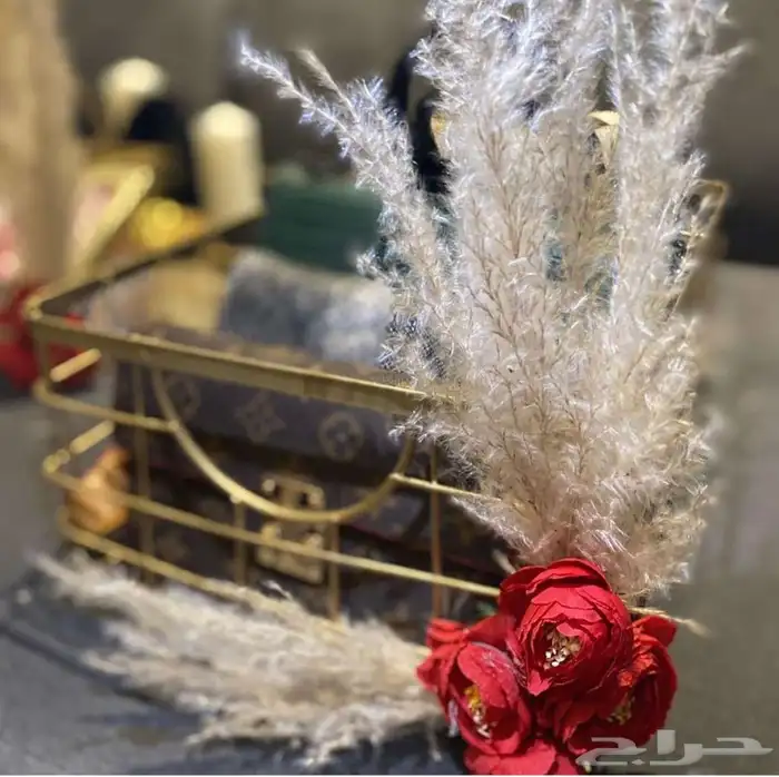 تشريع دبش عروسه مكة وجده 2