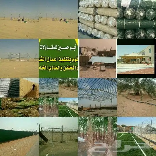 شبوك للبيع 11