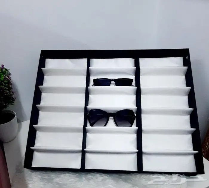 منظم نظارات 8