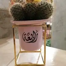 خطاط حسام-كتابة ع أي شيء-دورات تدريبية-معلم.. 8