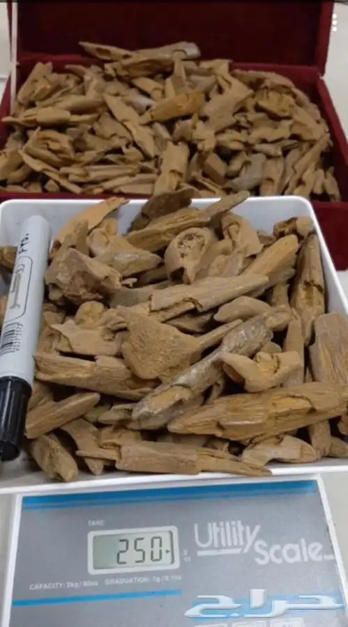 عود بخور مروكي ملكي ربع الكيلو 522 بدلا من 650 ريال 3