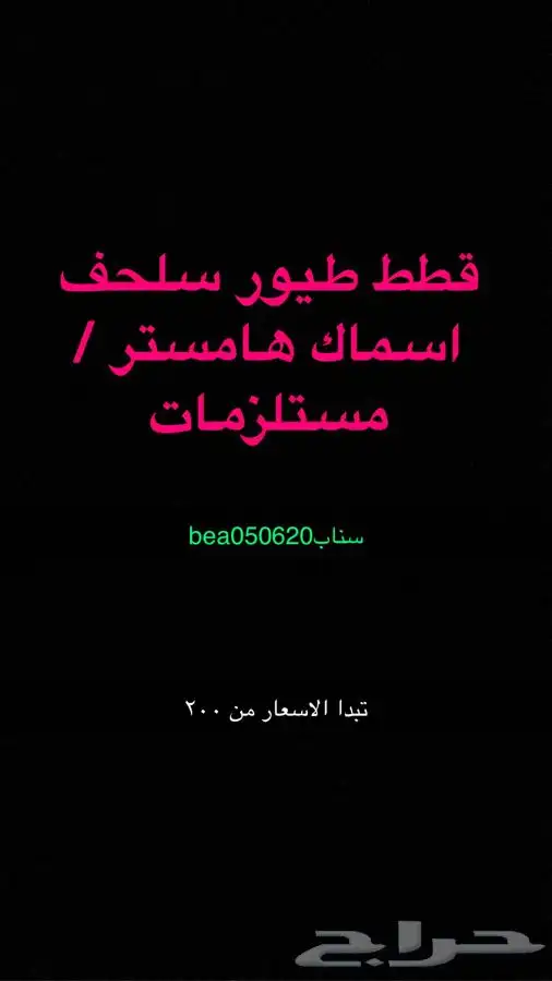 قطط طيور سلااحف اسماك هامستر مستلزمات 0