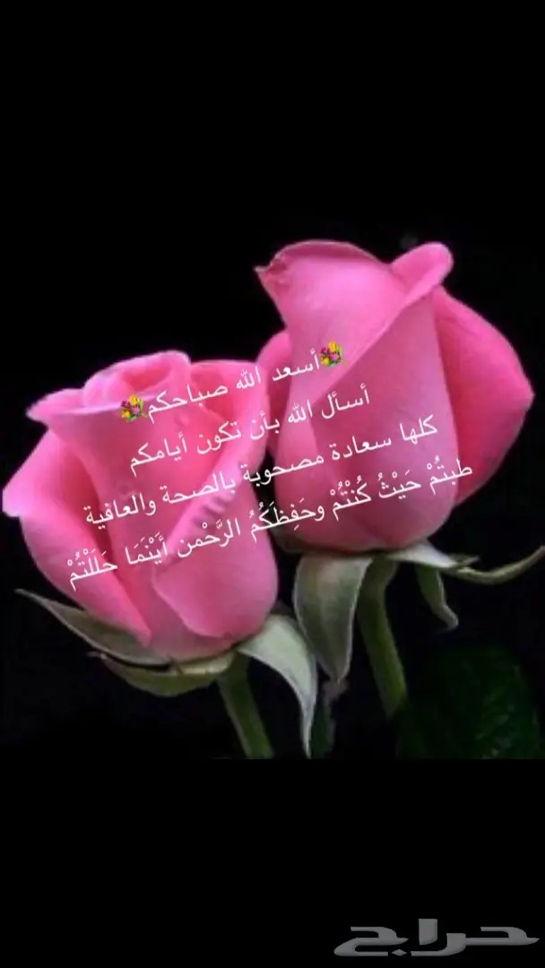 سبحة عنبر الحوت الطبيعي 16