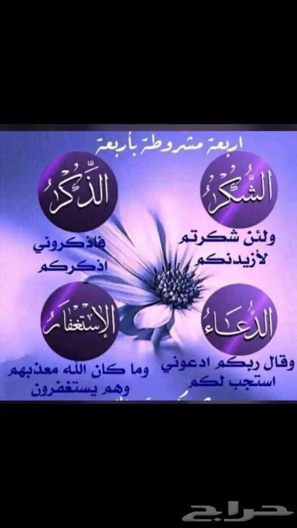 سبحة عنبر الحوت الطبيعي 17