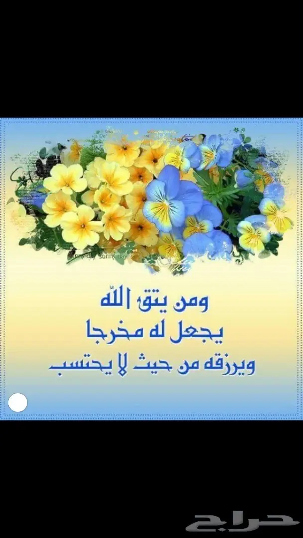 سبحة عنبر الحوت الطبيعي 22