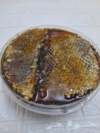 عسل بلدي ومستورد بجميع أنواعه زيت زيتون الجوف 29