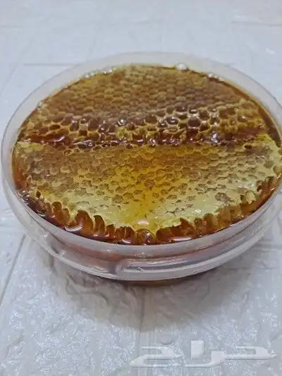 عسل بلدي ومستورد بجميع أنواعه زيت زيتون الجوف 31