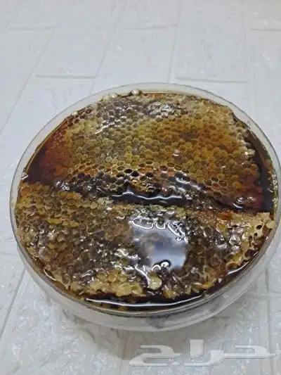 عسل بلدي ومستورد بجميع أنواعه زيت زيتون الجوف 30