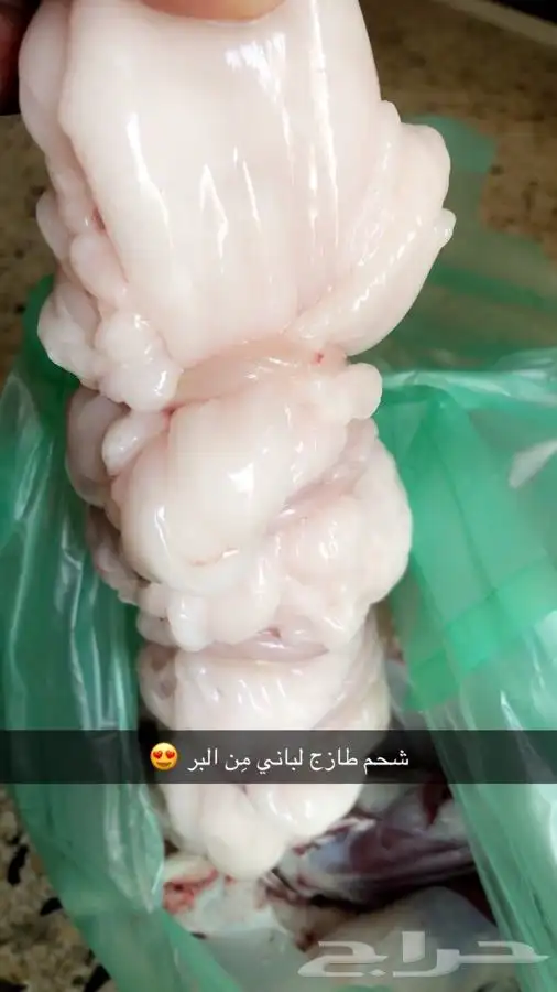 ذبايح حريه من البر مع الذبح والتوصيل الى مكانك 1