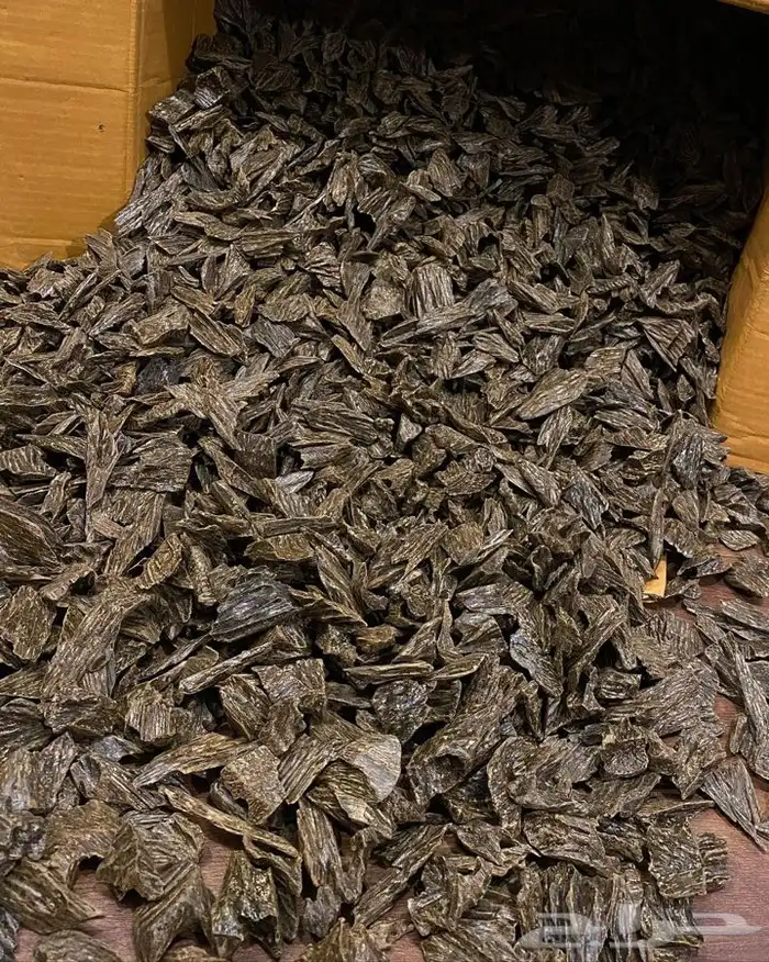 عود كلمنتان 1