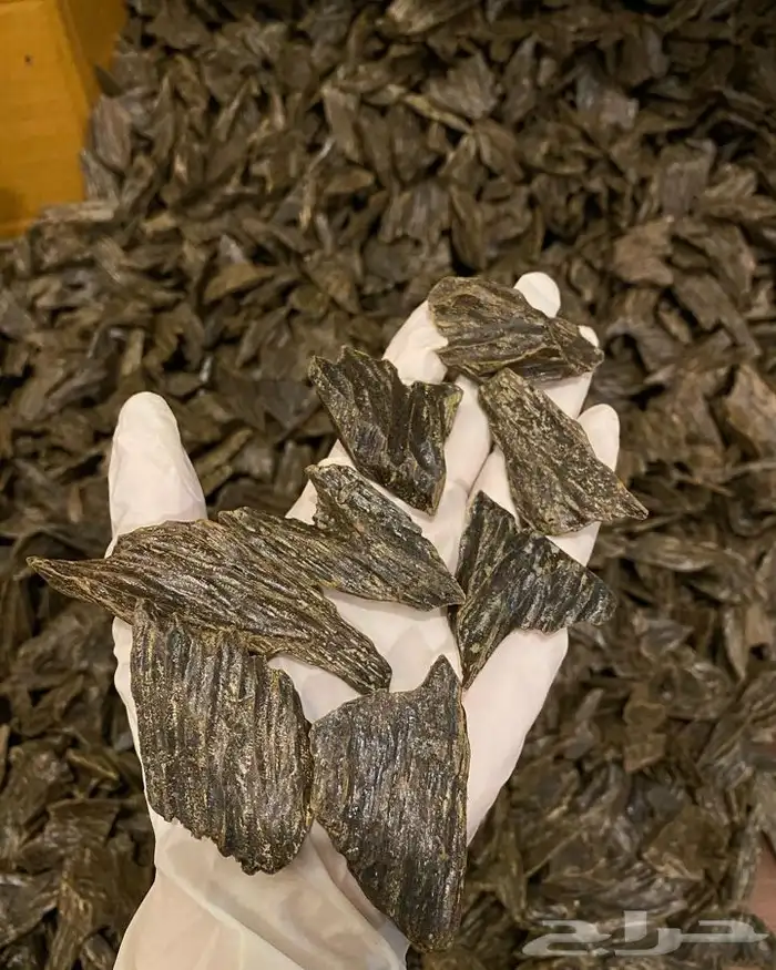 عود كلمنتان 0