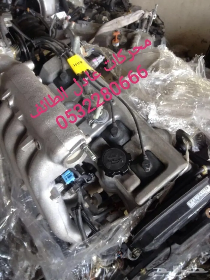 مكاين سوناتا ودباب ديهاتسو وفان ديهاتسو صغير 23
