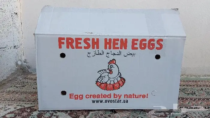 كراتين بيض فاضيه وشطرطون ورول ورق لتغليف 0