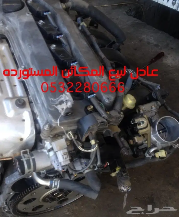 مكاين سوناتا ودباب ديهاتسو وفان ديهاتسو صغير 7