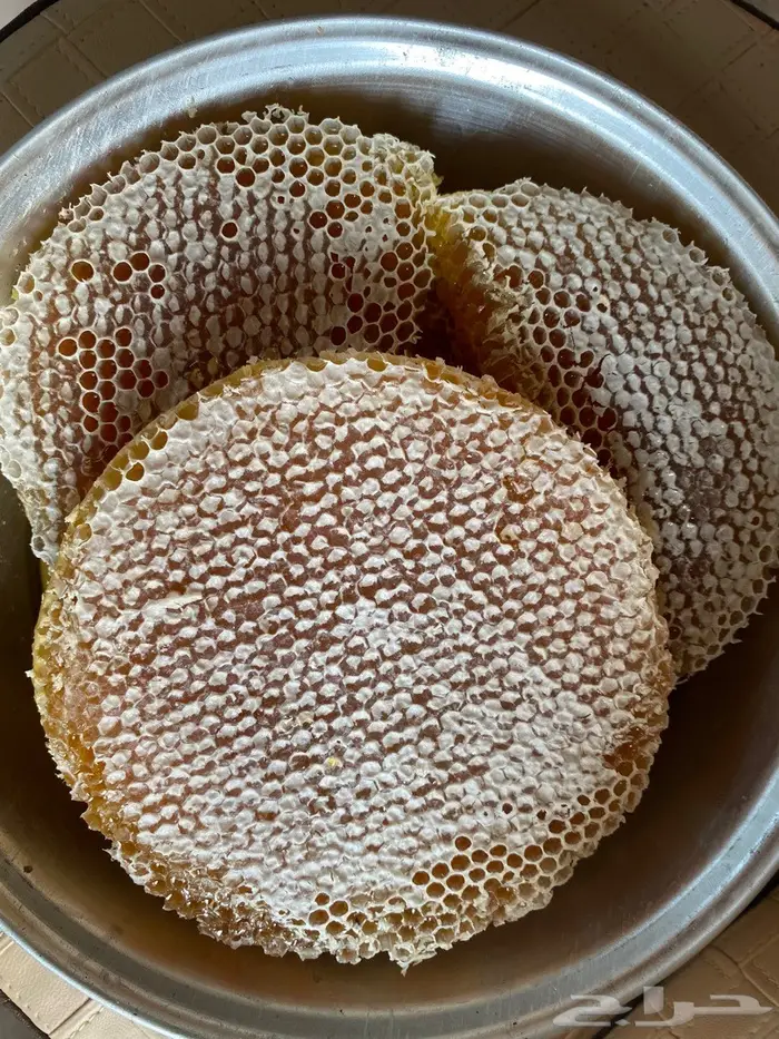 عسل السدره الجبلي وطلحه ومجرى وسمره وملكي خاص مضمون 5