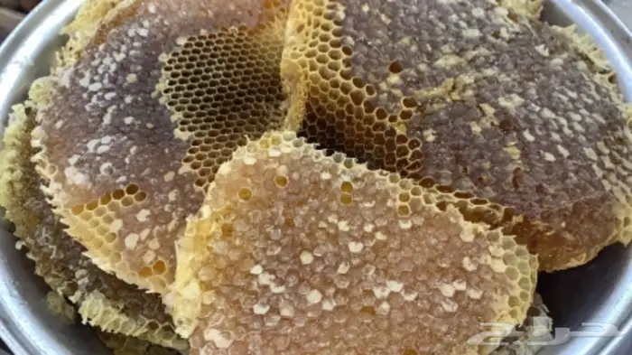 عسل السدره الجبلي وطلحه ومجرى وسمره وملكي خاص مضمون 6