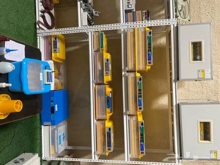 جميع مقاس فقاسات 8-15-18-24-32-48-63-64-98- 0