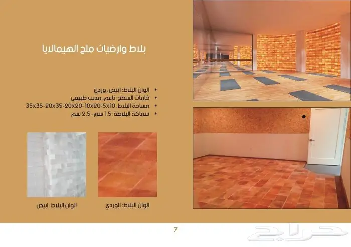 بلاط ملح الهيمالايا بالجملة 3