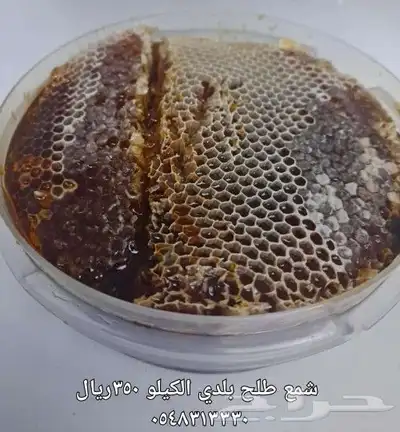 عسل بلدي ومستورد بجميع أنواعه زيت زيتون الجوف 16