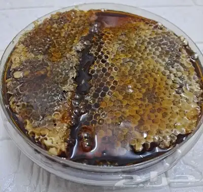 عسل بلدي ومستورد بجميع أنواعه زيت زيتون الجوف 15