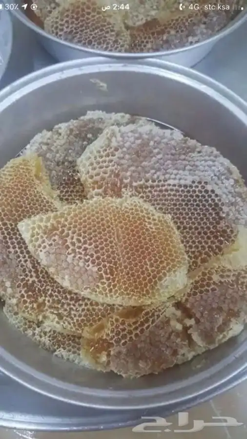 عسل مشروط ومضمون 20