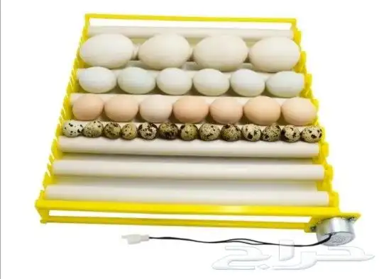 فقاسات نظام الرول المطورة َمقاس 300-240-180 4