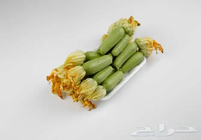 للتصوير المنتجات مطاعم كافيهات عقارات وغيرها 2