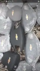 ارباق وغطاء لكزس مصدوم 59