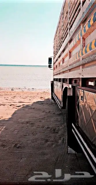 لوري لنقل الابل والحلال 1