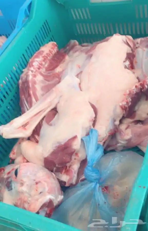 ذبائح برية مع التوصيل لحد بيتك 67