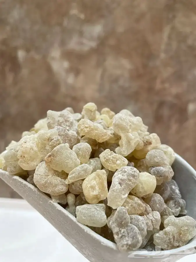 لبان ذكر حوجري اخضر طازج تو واصل من عمان 6