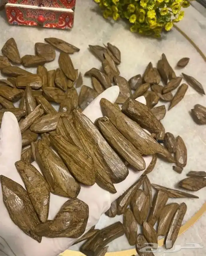 عود عرض خاااص 0