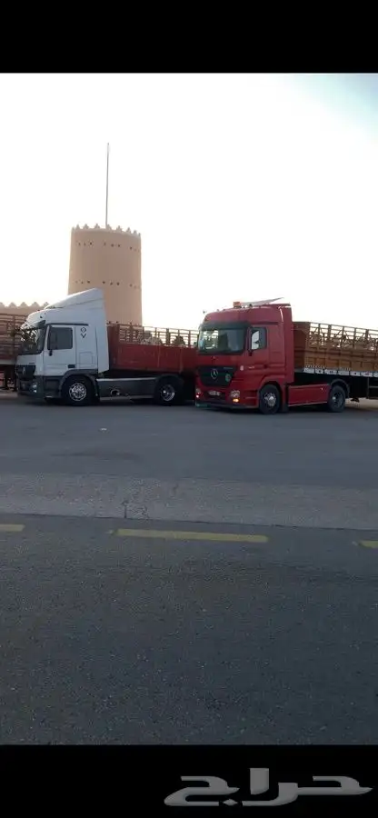 تريلات نقل ابل الى جميع منطق المملكه 1