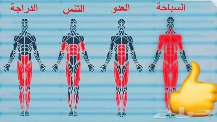 مدرب سباحه الرياض كبار واطفال فرق سباحه 3