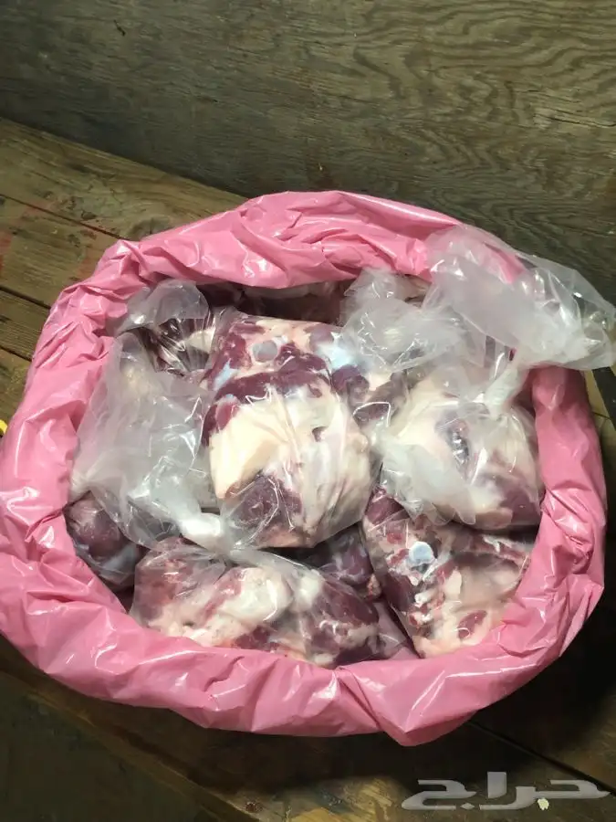 ذبايح مع خدمه الذبح والتوصيل 4