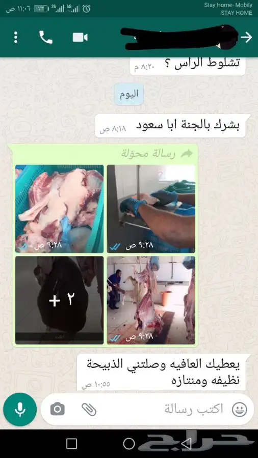 ذبيحة برية ثلاجة ذبائح صدقات لحد بيتك 12