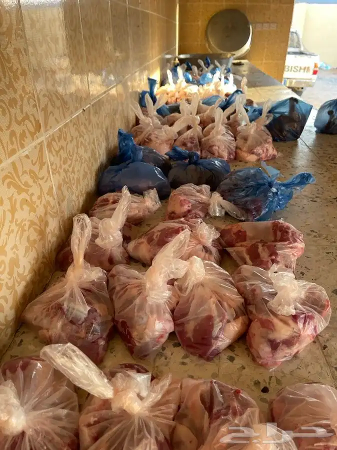 ذبيحة برية ثلاجة ذبائح صدقات لحد بيتك 3