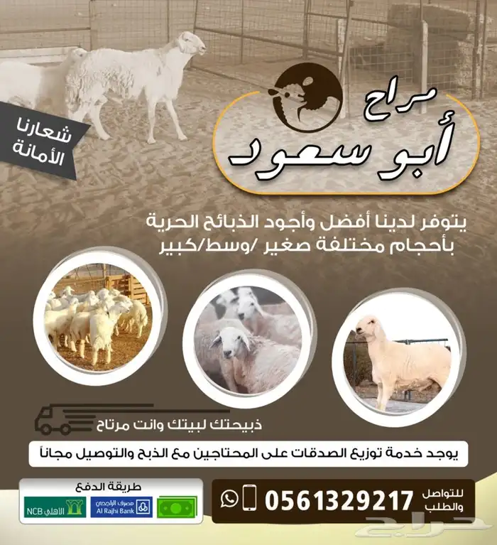 ذبيحة برية ثلاجة ذبائح صدقات لحد بيتك 0