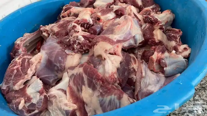ذبيحة برية ثلاجة ذبائح صدقات لحد بيتك 6